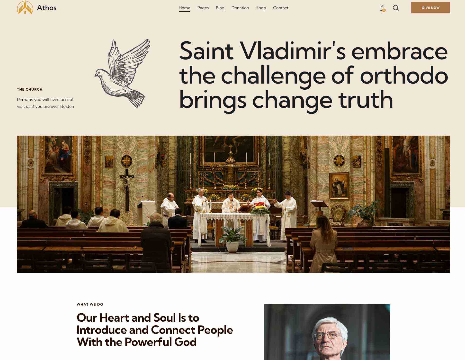 Non-Profit Website Designs